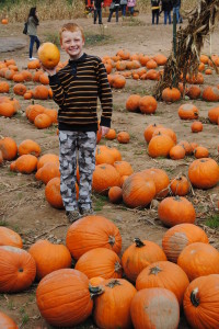 Picking out pumpkins at the farm