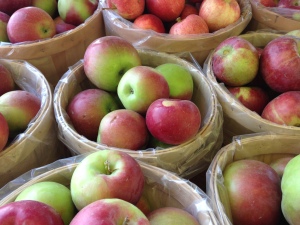 Bushels of fresh apples