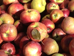 Apples from the farm