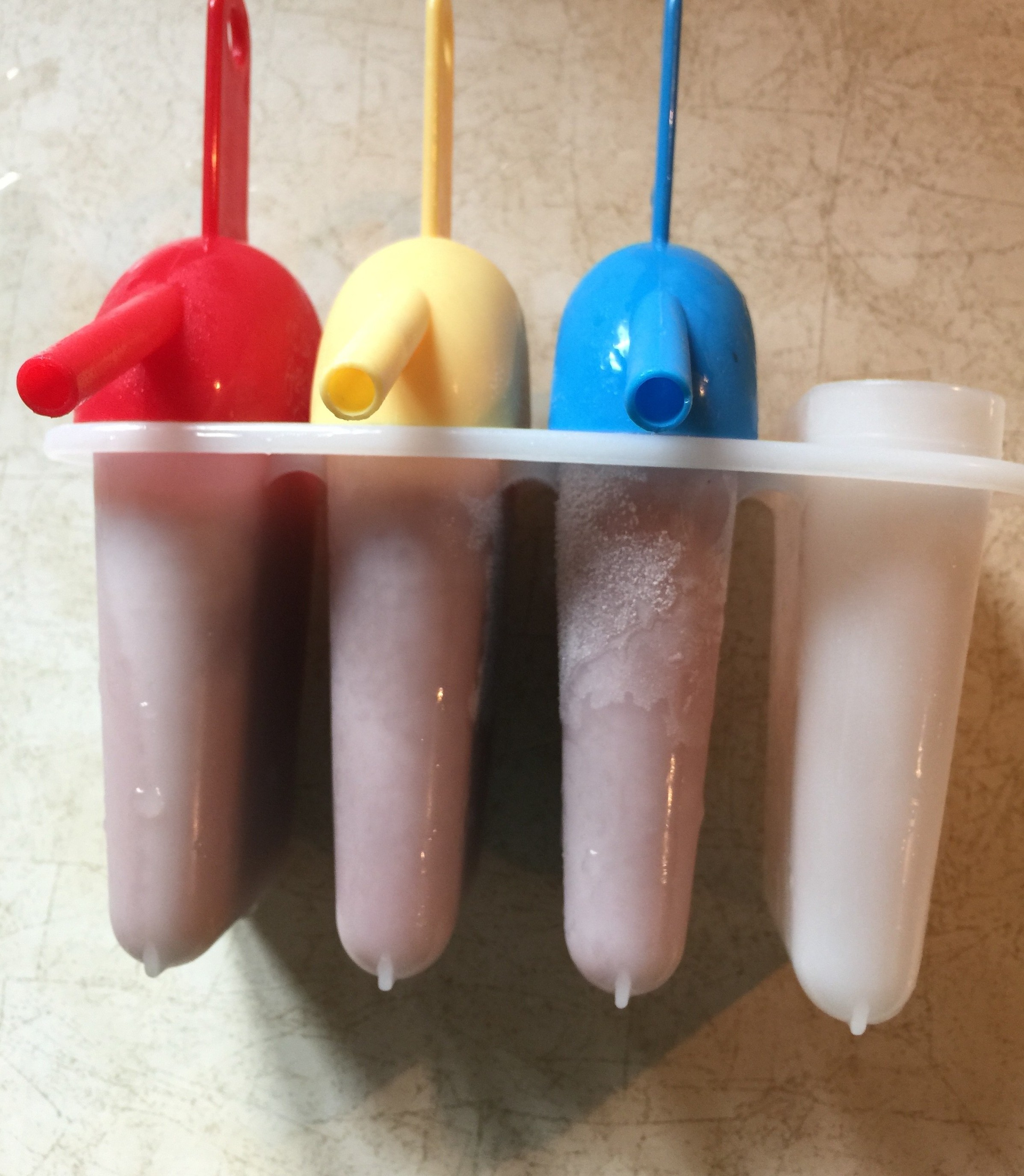 Smoothie Pops